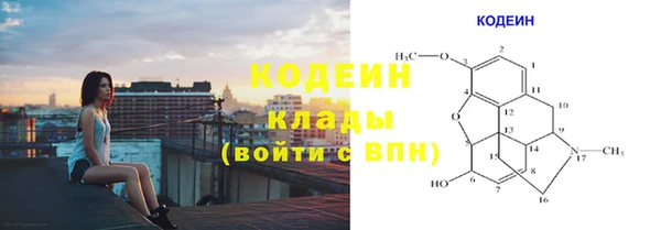 крисы Нягань