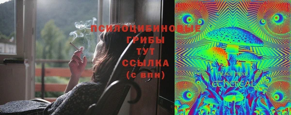 СК Новокубанск