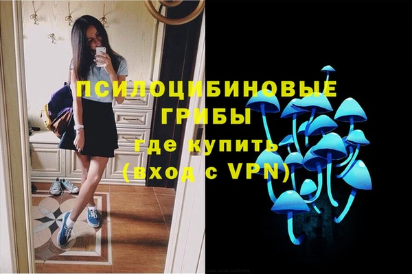 СК Новокубанск