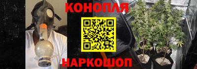 хмурый Жуковский