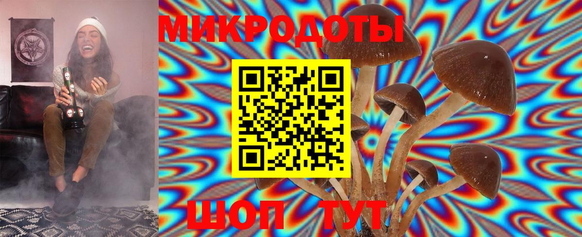 Галлюциногенные грибы мухоморы Кропоткин