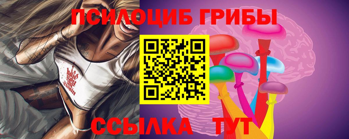 Галлюциногенные грибы прущие грибы  Вход с VPN  Кропоткин  Псилоцибиновые грибы Psilocybe 