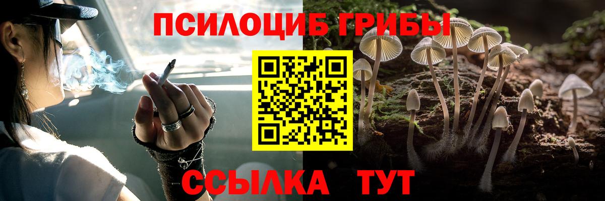 Галлюциногенные грибы Cubensis Кропоткин